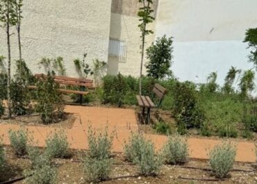Δήμος Θεσσαλονίκης: Νέο «πάρκο τσέπης» με 456 αρωματικά φυτά και δέντρα στην Τούμπα