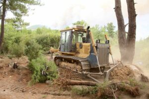 Πρόγραμμα 30 εκ. ευρώ για τη δημιουργία ζωνών πυροπροστασίας σε δήμους με περιβαλλοντικά δάση