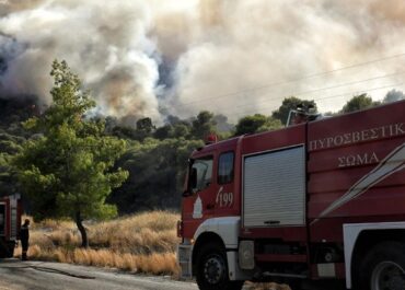 Άμεση κατάσβεση πυρκαγιάς σε χαμηλή βλάστηση στη βόρεια Λέσβο
