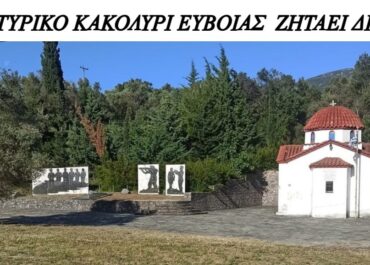 «Η Εύβοια διεκδικεί το Μαρτυρικό Χωριό της»