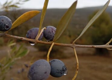 ΔΕΛΤΙΟ ΚΑΙΡΟΥ για Παρασκευή 22/11