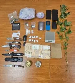 Συνελήφθησαν -2- άτομα στη Σάμο, για καλλιέργεια κάνναβης, κατοχή και διακίνηση ναρκωτικών ουσιών