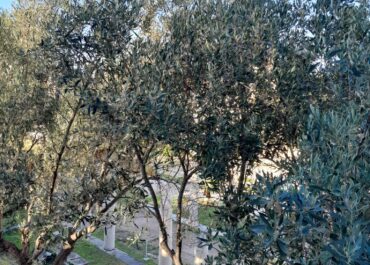 ΔΕΛΤΙΟ ΚΑΙΡΟΥ για Κυριακή 11/5