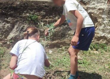Δήμος Άργους – Μυκηνών : Δενδροφύτευση σε σχολεία του Δήμου μας