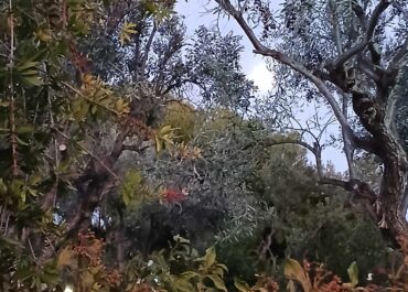 ΔΕΛΤΙΟ ΚΑΙΡΟΥ για Δευτέρα 16/6