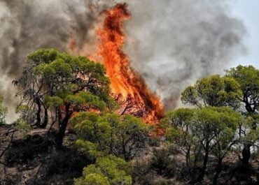 Ολονύχτια μάχη με τις φλόγες στην Άσσηρο