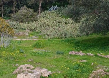 ΔΕΛΤΙΟ ΚΑΙΡΟΥ για Παρασκευή 19/9