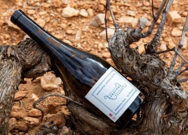 Ο ΕΟΣ Σάμου στο Athens Wine και Art Festival 18 και 19 Οκτωβρίου 2025 στο Κτίριο «Ολυμπιάς», Μοναστηράκι