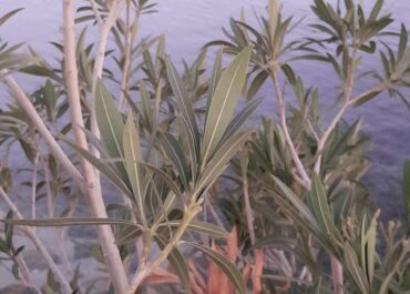 ΔΕΛΤΙΟ ΚΑΙΡΟΥ για Τετάρτη 29/10