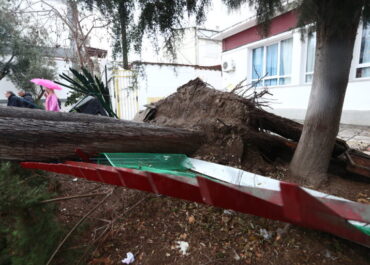 Πτώσεις δέντρων τα ξημερώματα, ζημιές σε σταθμευμένα αυτοκίνητα