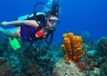 Δήμος Ναυπλιέων : Καταδυτικό πάρκο στο Δήμο