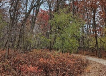 ΔΕΛΤΙΟ ΚΑΙΡΟΥ για Τρίτη 25/11