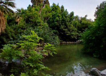 ΔΕΛΤΙΟ ΚΑΙΡΟΥ για Παρασκευή 7/11