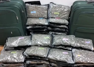 Συνελήφθη 29χρονη αλλοδαπή, μέλος διεθνικής εγκληματικής ομάδας, που δραστηριοποιούνταν στην εξαγωγή κάνναβης (skunk) στο Ηνωμένο Βασίλειο μέσω της αεροπορικής οδού