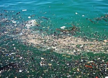 Θαλάσσια ρύπανση στην Ελευσίνα