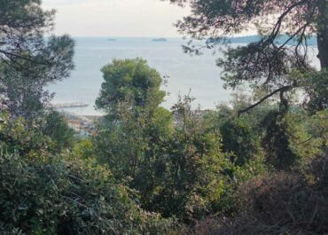 ΔΕΛΤΙΟ ΚΑΙΡΟΥ για Δευτέρα 22/12