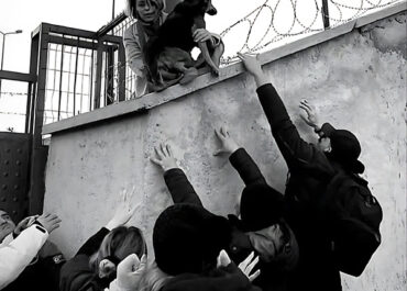 ΜΕΤΑΞΥ ΦΡΟΝΤΙΔΑΣ ΚΑΙ ΒΙΑΣ: ΤΑ ΣΚΥΛΙΑ ΤΗΣ ΚΩΝΣΤΑΝΤΙΝΟΥΠΟΛΗΣ Διάλεξη της Mine Yildirim