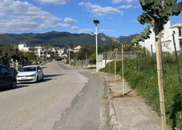 Δήμος Καλαμάτας  : Δενδροφυτεύσεων συνέχεια στην πόλη της Καλαμάτας