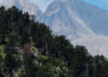 Εντοπίστηκε χωρίς τις αισθήσεις του ο 74χρονος ορειβάτης στο Βελούχι