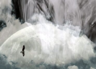 Το Δημοτικό Θέατρο Πειραιά παρουσιάζει την διακαλλιτεχνική δράση CHALKYON DAYS, στο Φουαγιέ, στις 11 Μαρτίου 2026