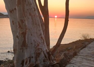 ΔΕΛΤΙΟ ΚΑΙΡΟΥ για Σάββατο 14/2