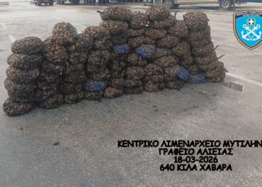 Αλιευτικοί έλεγχοι στη Μυτιλήνη