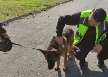 Δήμος Θεσσαλονίκης ; Διμηνιαίος απολογισμός Ελέγχων Ζώων Συντροφιάς από τη Δημοτική Αστυνομία Θεσσαλονίκης
