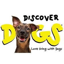 Δήμος Θεσσαλονίκης : ΑΝΑΓΓΕΛΙΑ ΛΕΙΤΟΥΡΓΙΑΣ ΕΜΠΟΡΙΚΗΣ ΕΚΘΕΣΗΣ «DISCOVER DOGS 2026»