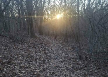 ΔΕΛΤΙΟ ΚΑΙΡΟΥ για Παρασκευή 20/3