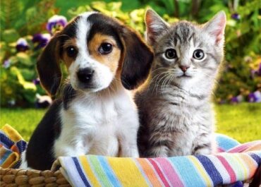 Δήμο Κερατσινίου – Δραπετσώνας : Ανάσταση χωρίς κρότους