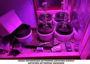 Συνελήφθησαν στα Ιωάννινα τέσσερις ημεδαποί για καλλιέργεια και διακίνηση ναρκωτικών