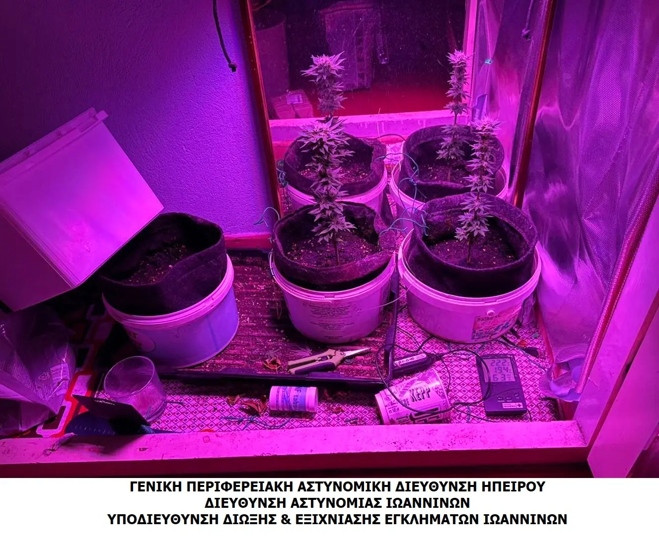 Συνελήφθησαν στα Ιωάννινα τέσσερις ημεδαποί για καλλιέργεια και διακίνηση ναρκωτικών