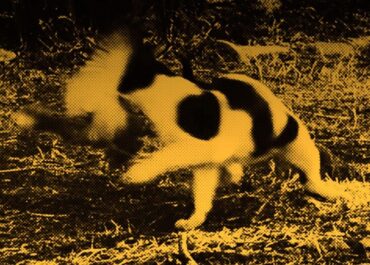 “Σημειώσεις για μια Ορέστεια στην πανδημία” – Μάρθα Φριντζήλα – Πάνος Ανδριανός / ΘΕΑΤΡΟ ΤΕΧΝΗΣ