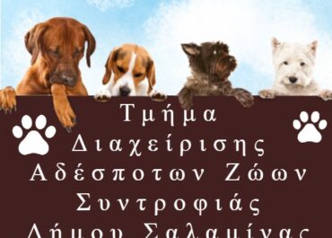 ΔΗΜΟΣ ΣΑΛΑΜΙΝΑΣ : ΣΧΕΔΙΟ ΔΙΑΧΕΙΡΙΣΗΣ ΖΩΩΝ ΣΥΝΤΡΟΦΙΑΣ ΣΕ ΑΝΘΡΩΠΟΓΕΝΕΙΣ ΚΑΙ ΦΥΣΙΚΕΣ ΚΑΤΑΣΤΡΟΦΕΣ 2026