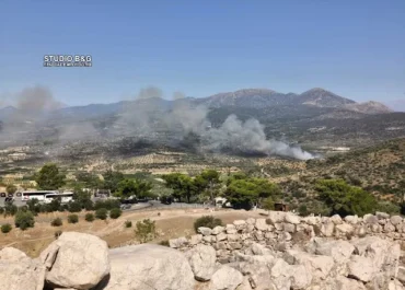 Μεγάλη φωτιά στα Φίχτια Αργολίδας κοντά στις Μυκήνες