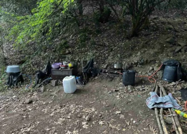 Εντοπίστηκε φυτεία με περισσότερα από 2.000 δενδρύλλια κάνναβης σε δύσβατη δασική περιοχή στην Φθιώτιδα
