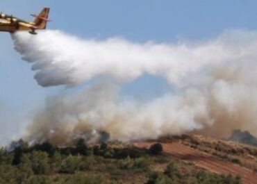 Πυρκαγιά σε δασική έκταση στην Κρεμαστή Λακωνίας