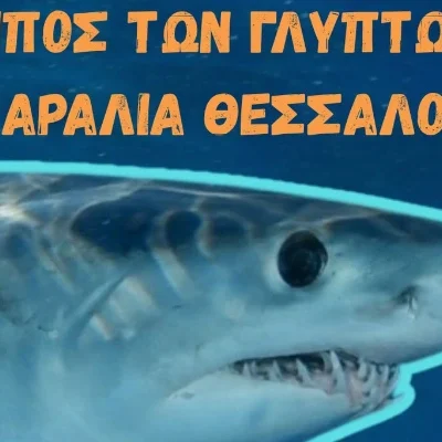 00a306