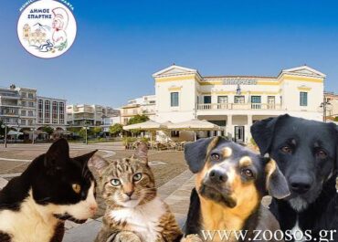 Δήμος Σπάρτης : Υιοθετήστε ένα Αδέσποτο