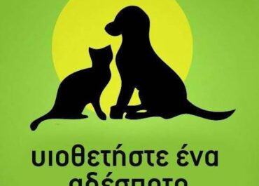 Δήμος Σπάρτης : Υιοθετήστε ένα Αδέσποτο