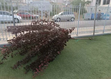 Δήμος Τρίπολης : Βανδαλισμός στην παιδική χαρά της Αγίας Βαρβάρας